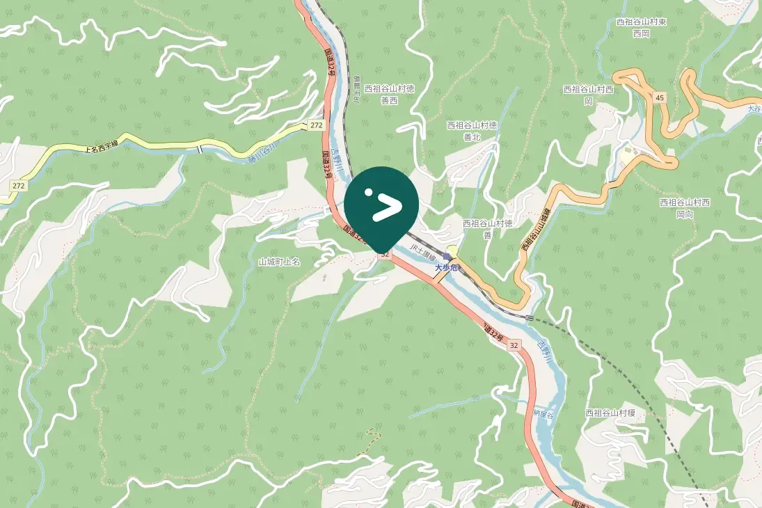 Spotted Gray Wagtail