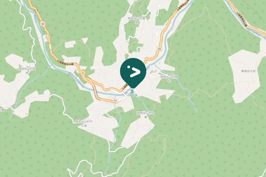 Spotted Gray Wagtail