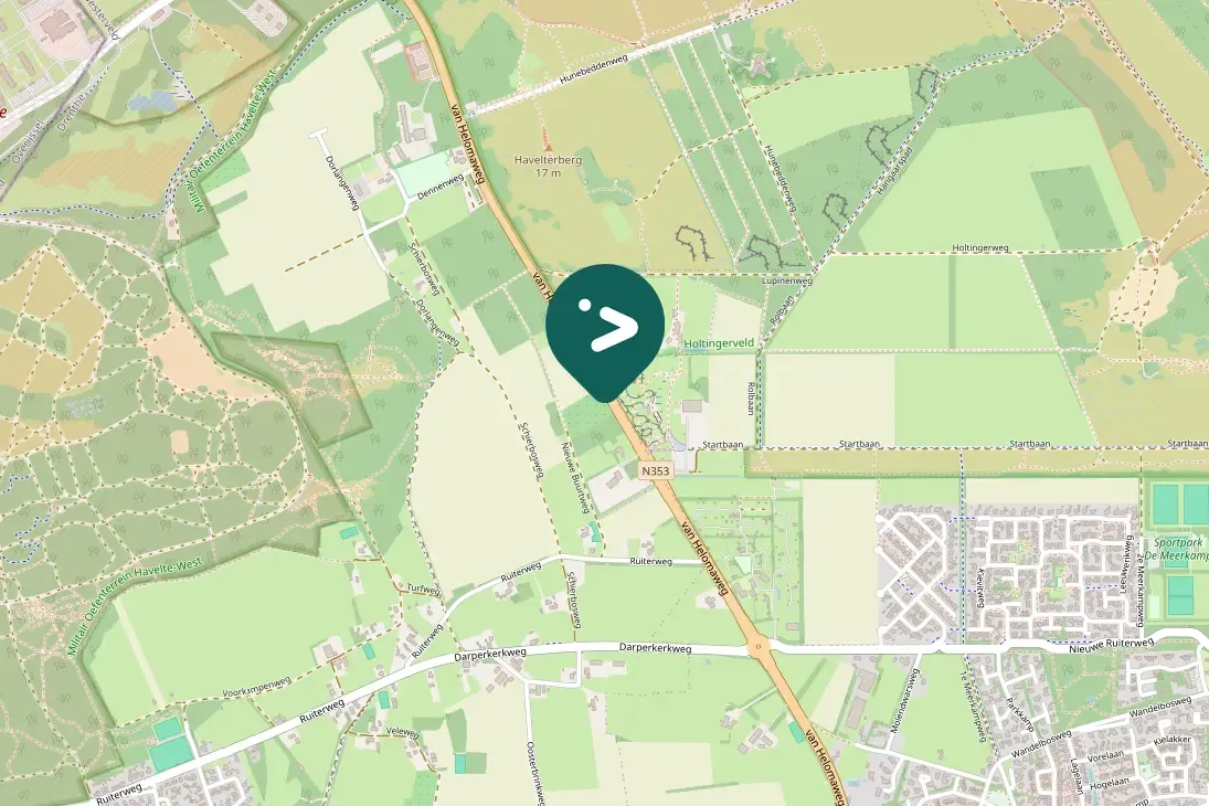 Spotted White Wagtail