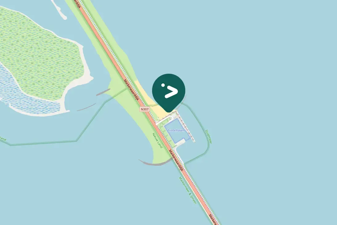 Spotted Common Merganser