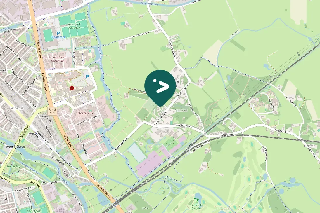 Spotted Eurasian Magpie