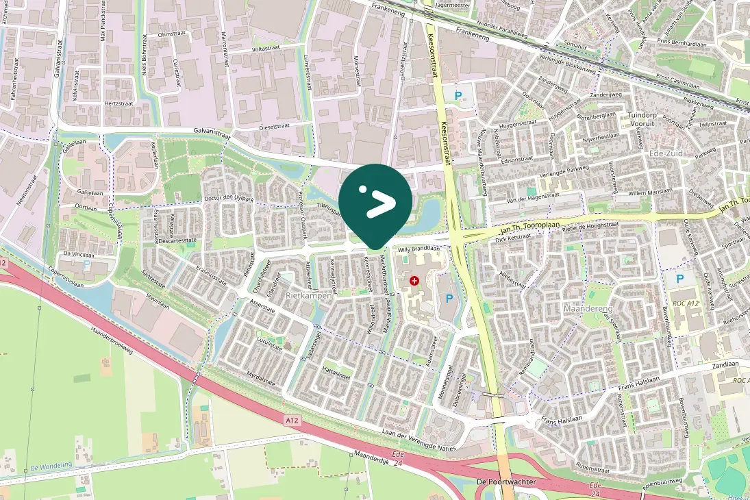 Spotted Little Grebe