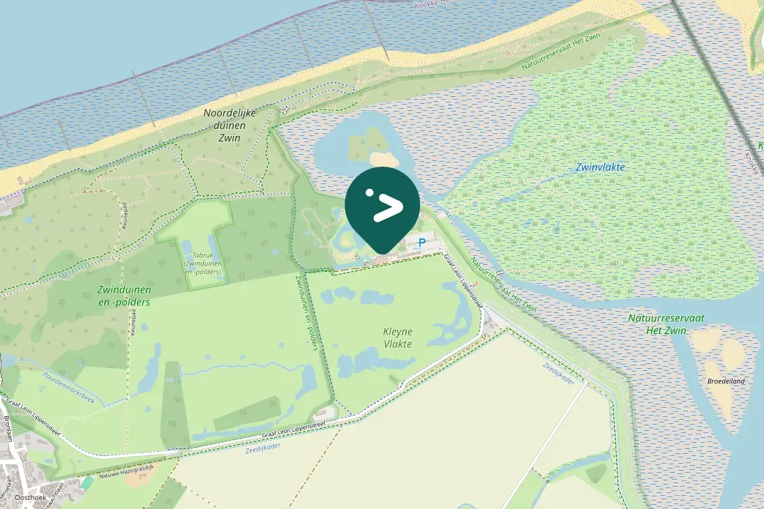 Spotted Mediterranean Gull