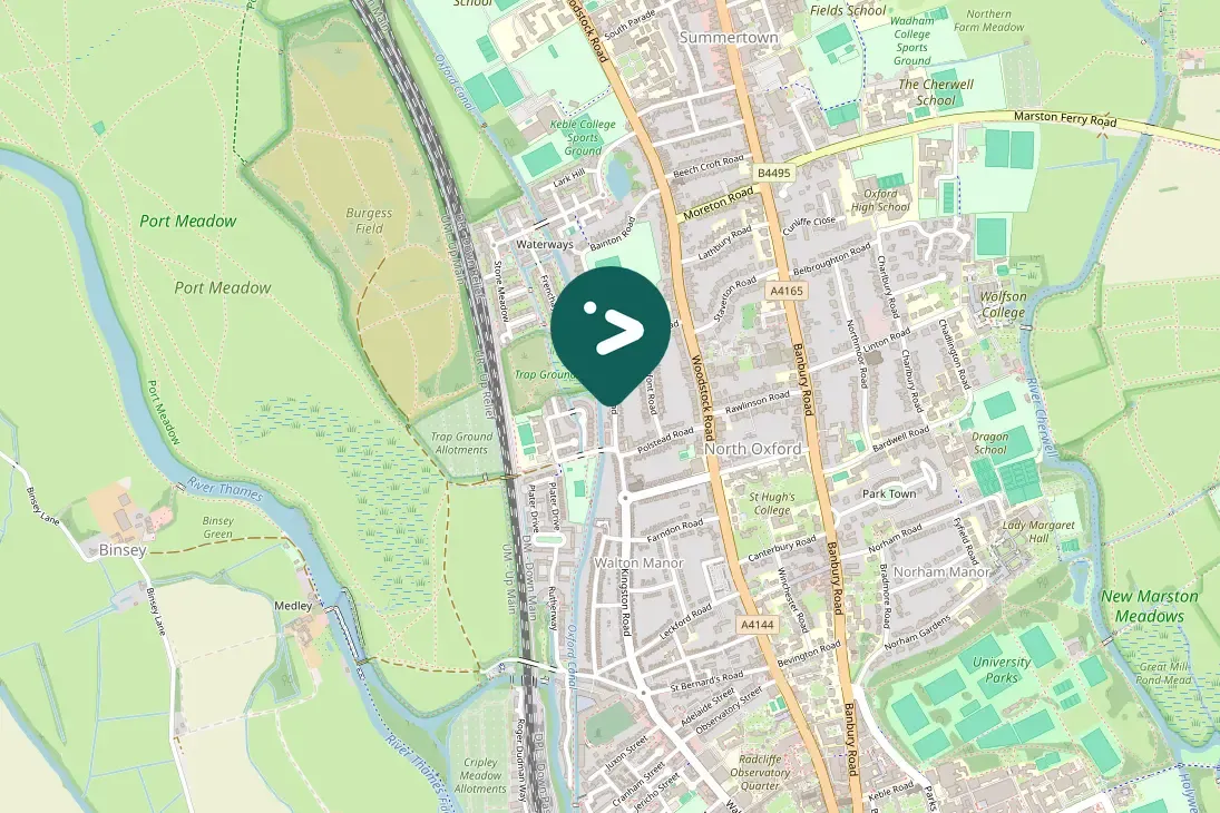 Spotted Common Swift