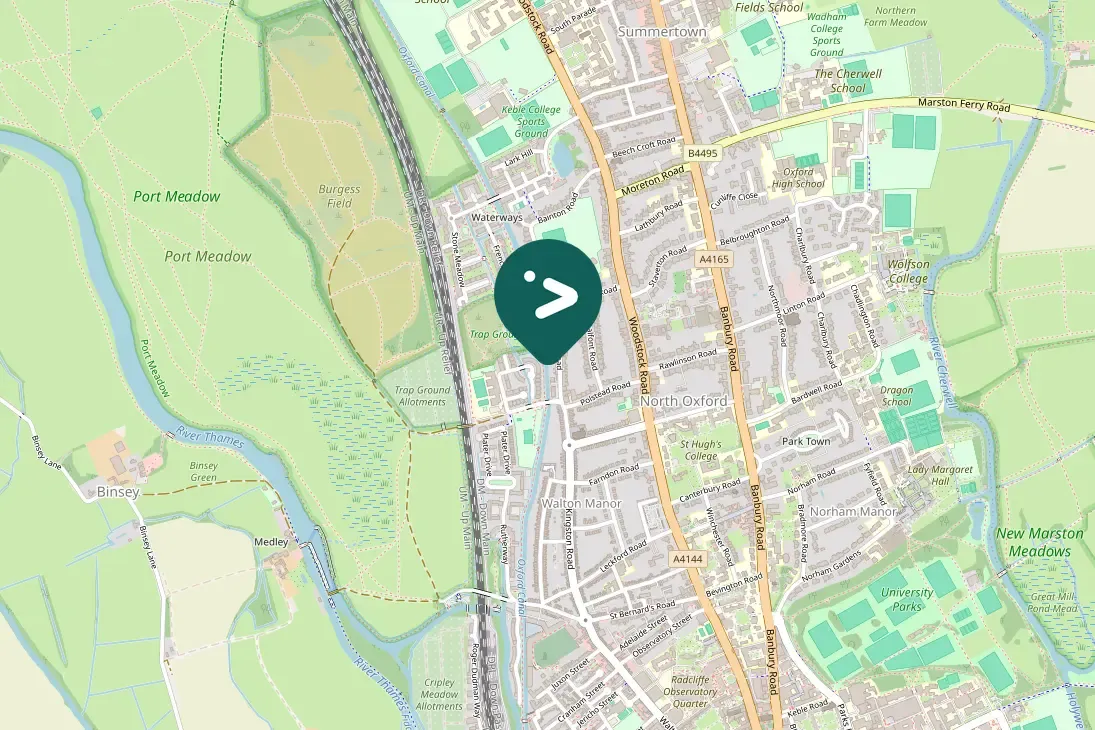 Spotted Eurasian Siskin