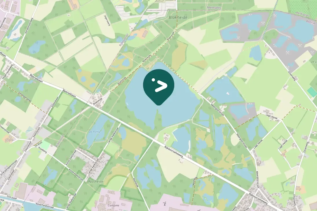 Spotted Barnacle Goose