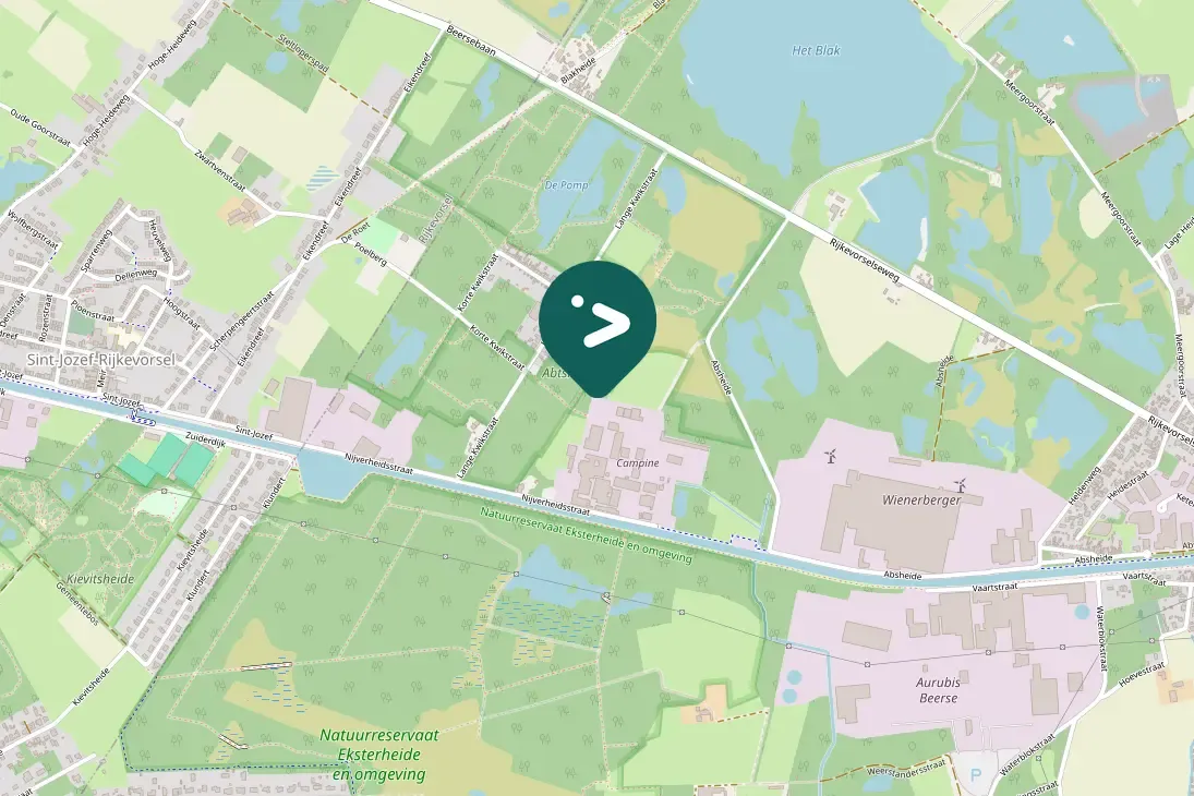 Spotted Mandarin Duck