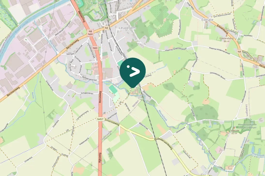 Spotted Green Sandpiper