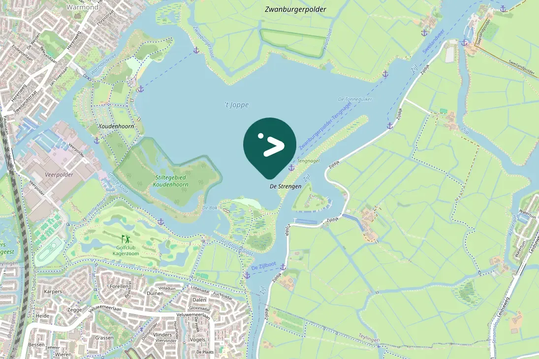 Spotted Great Cormorant