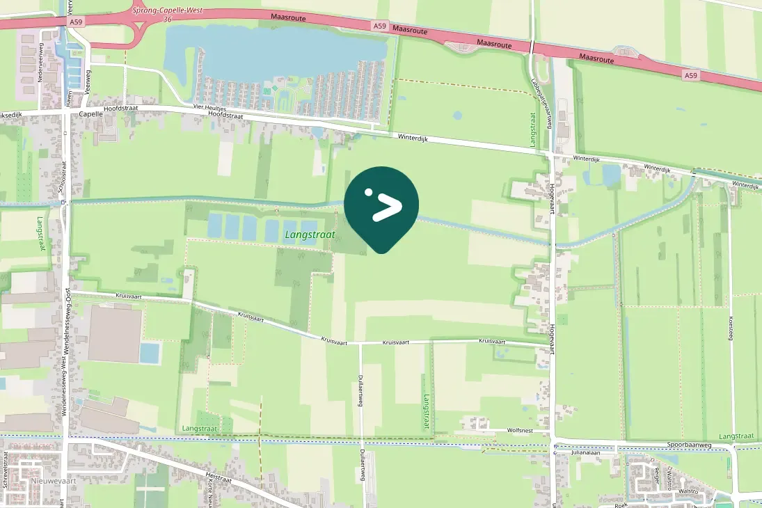 Spotted Ring-necked Pheasant