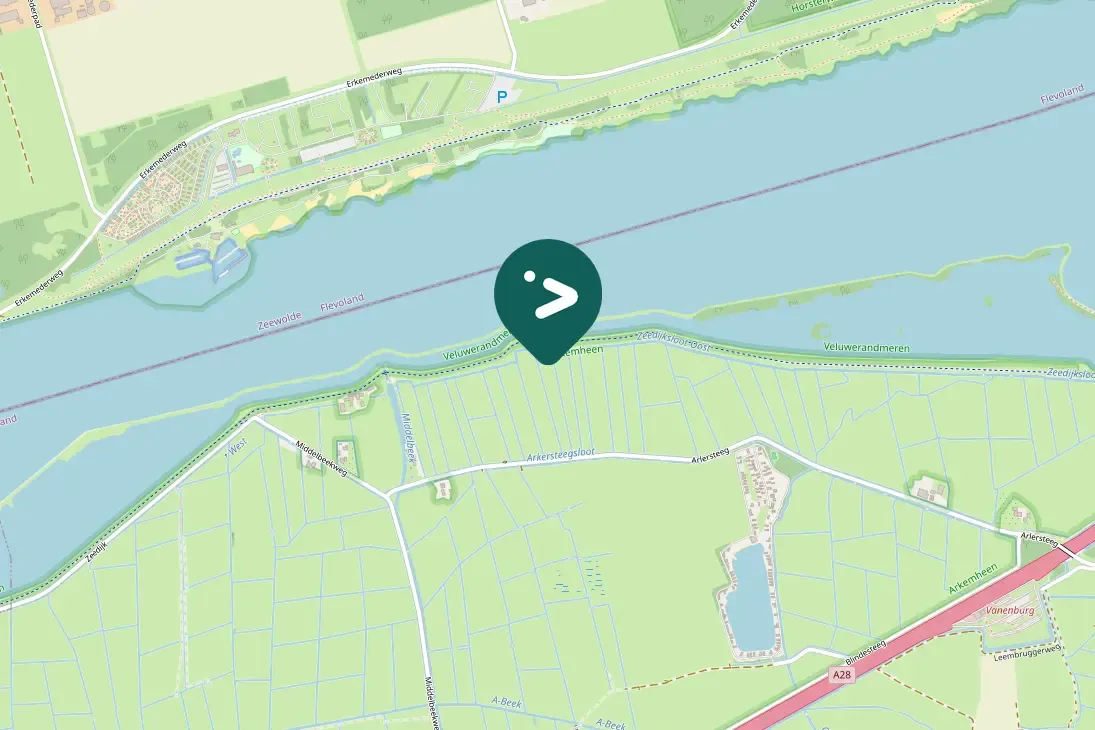 Spotted Little Ringed Plover