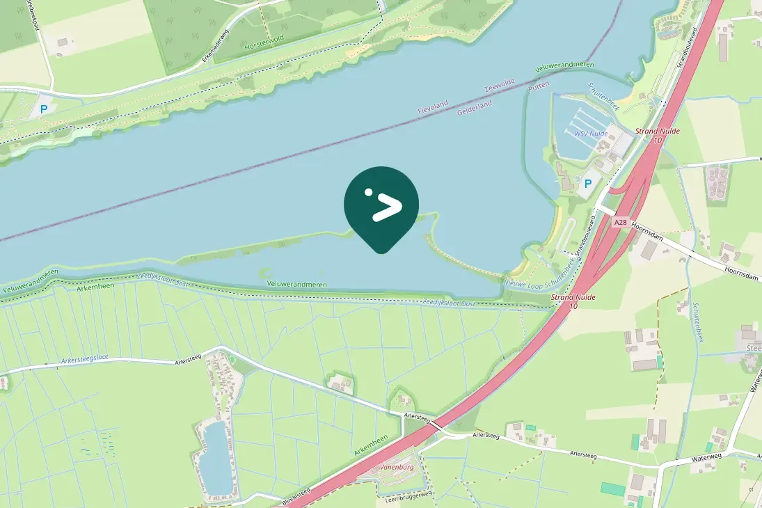 Spotted Little Egret