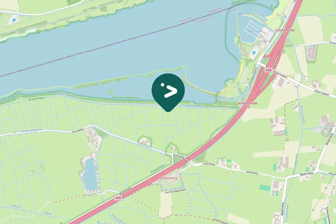 Spotted Caspian Gull