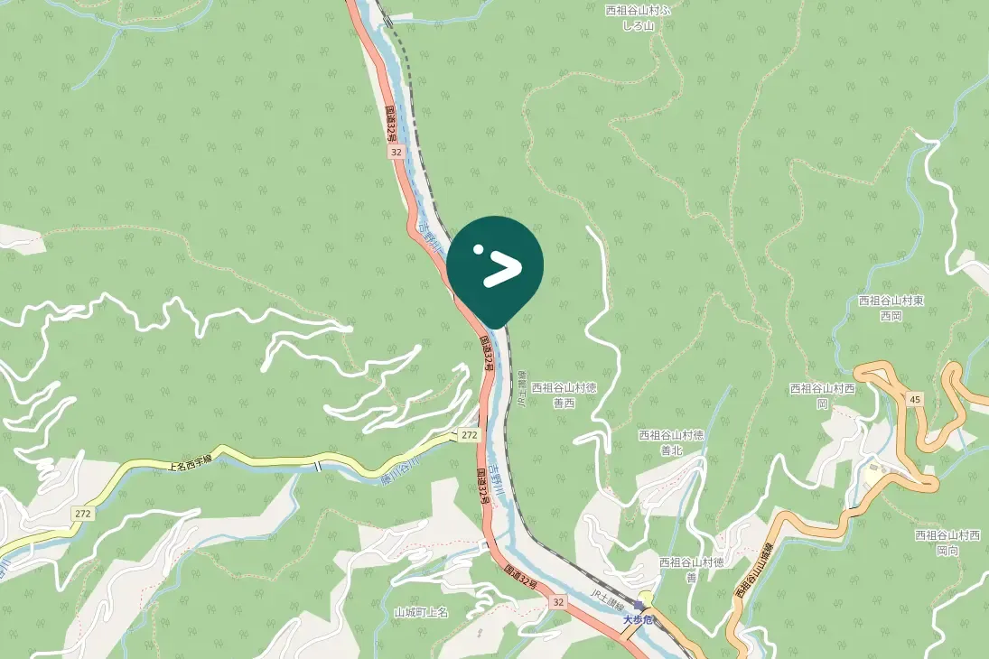 Spotted Gray Wagtail