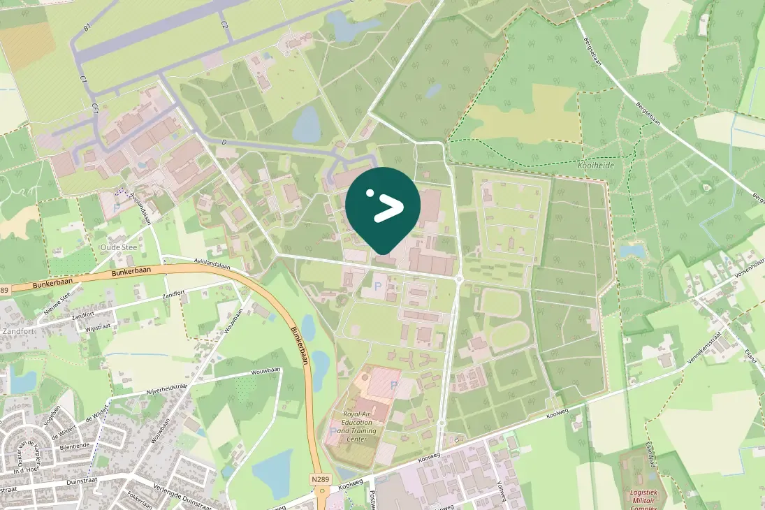 Spotted Eurasian Siskin