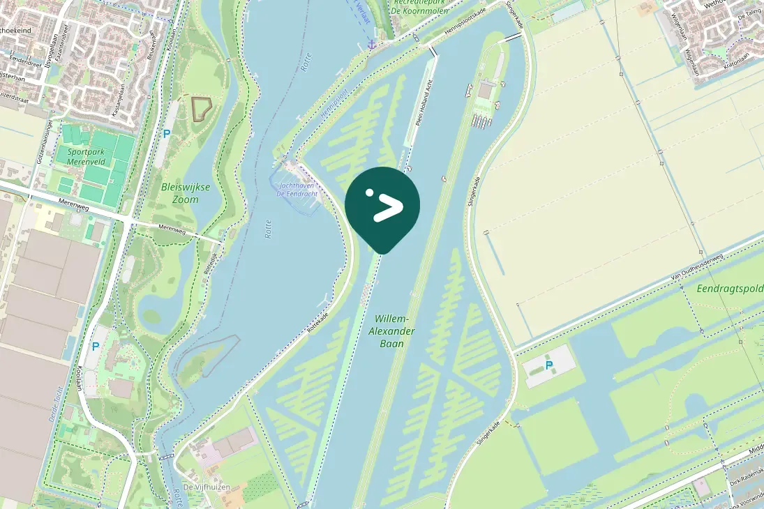 Spotted Eurasian Oystercatcher