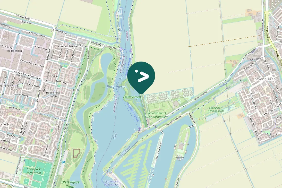 Spotted Graylag Goose