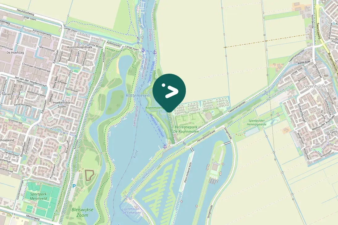 Spotted Eurasian Bittern