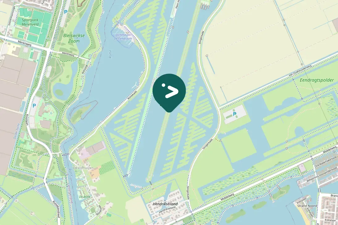 Spotted Northern Lapwing