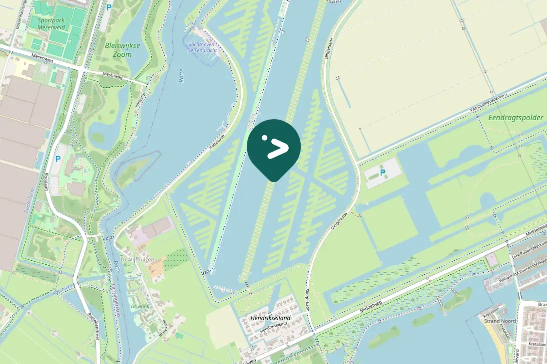 Spotted Black-headed Gull