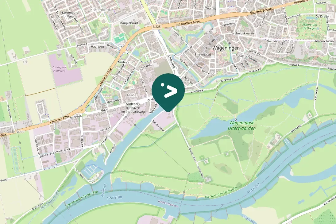 Spotted Eurasian Linnet