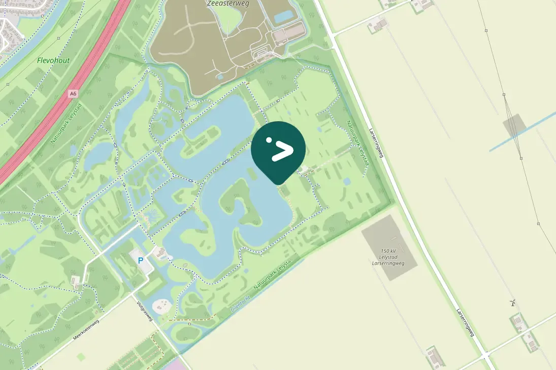 Spotted Pygmy Cormorant