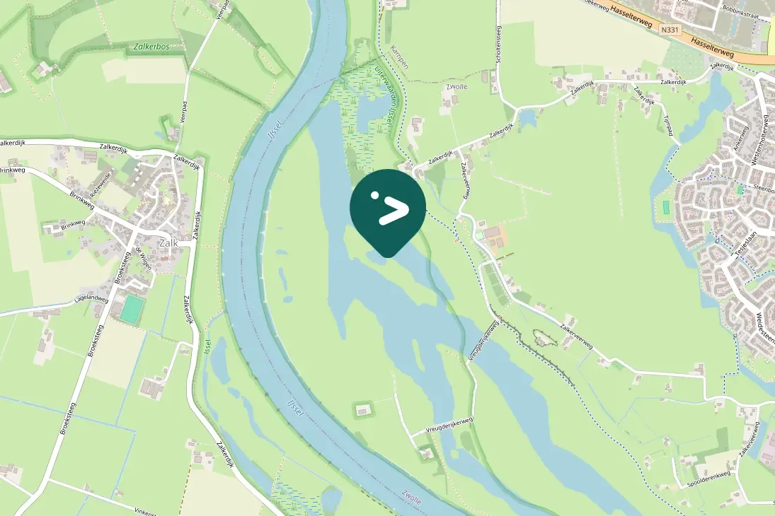 Spotted Falcated Duck