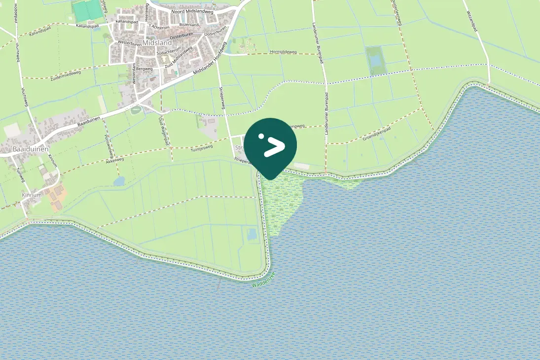 Spotted Citrine Wagtail