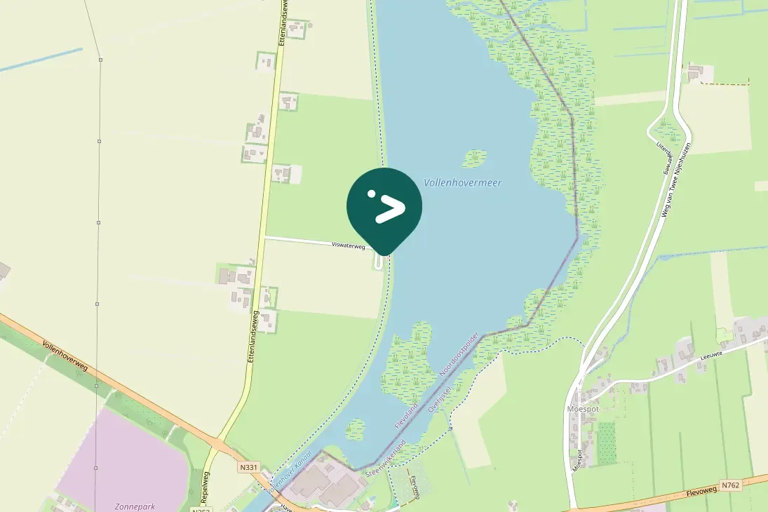 Spotted Black-winged Pratincole