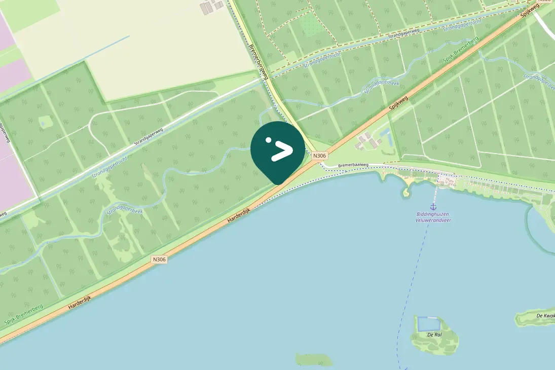 Spotted Squacco Heron