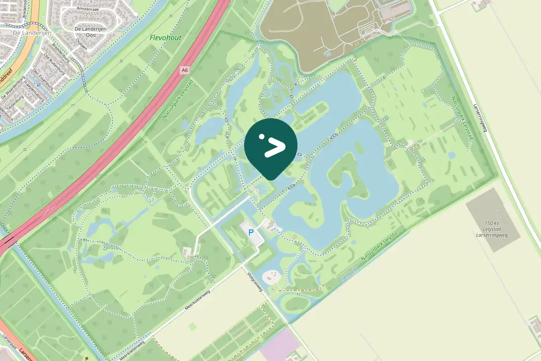 Spotted Pygmy Cormorant