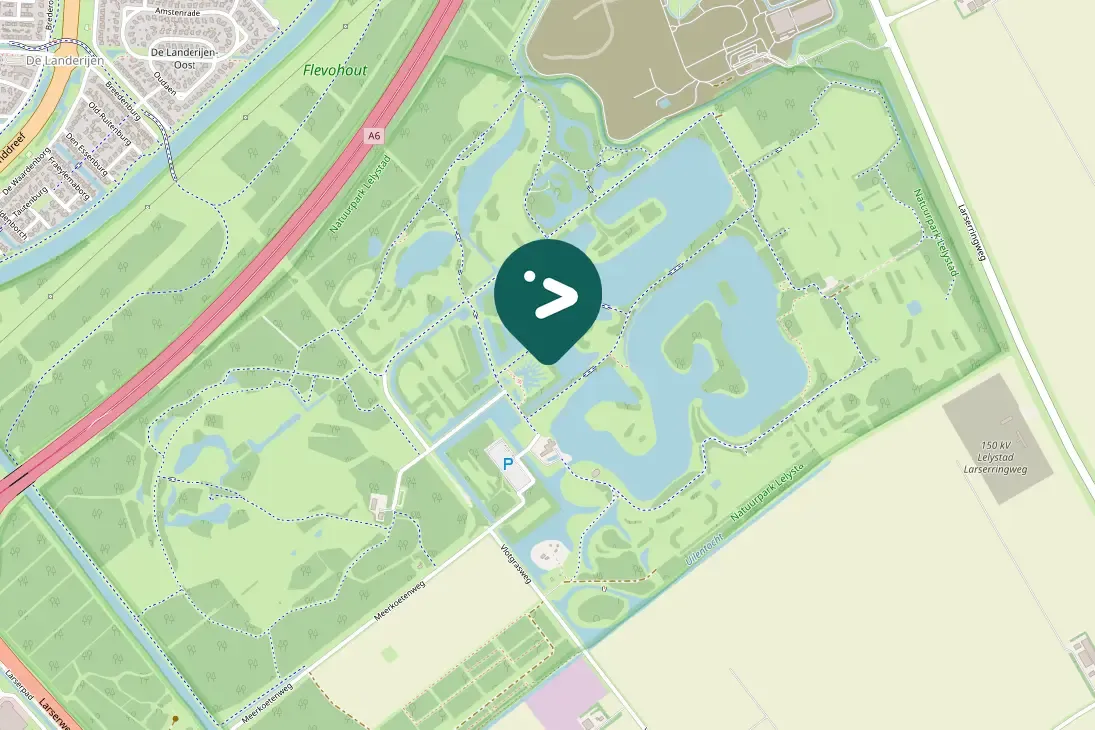 Spotted Pygmy Cormorant