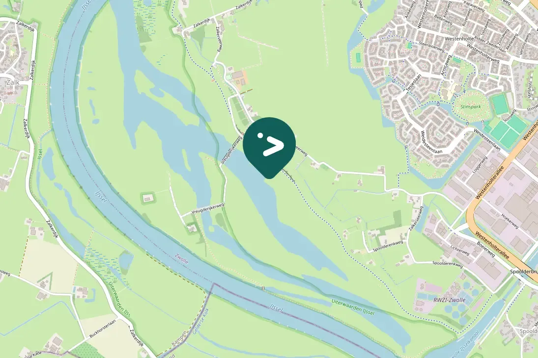 Spotted Falcated Duck