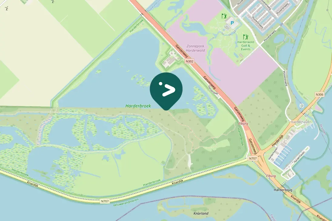 Spotted Red Phalarope