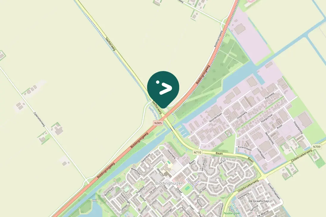 Spotted Long-tailed Duck