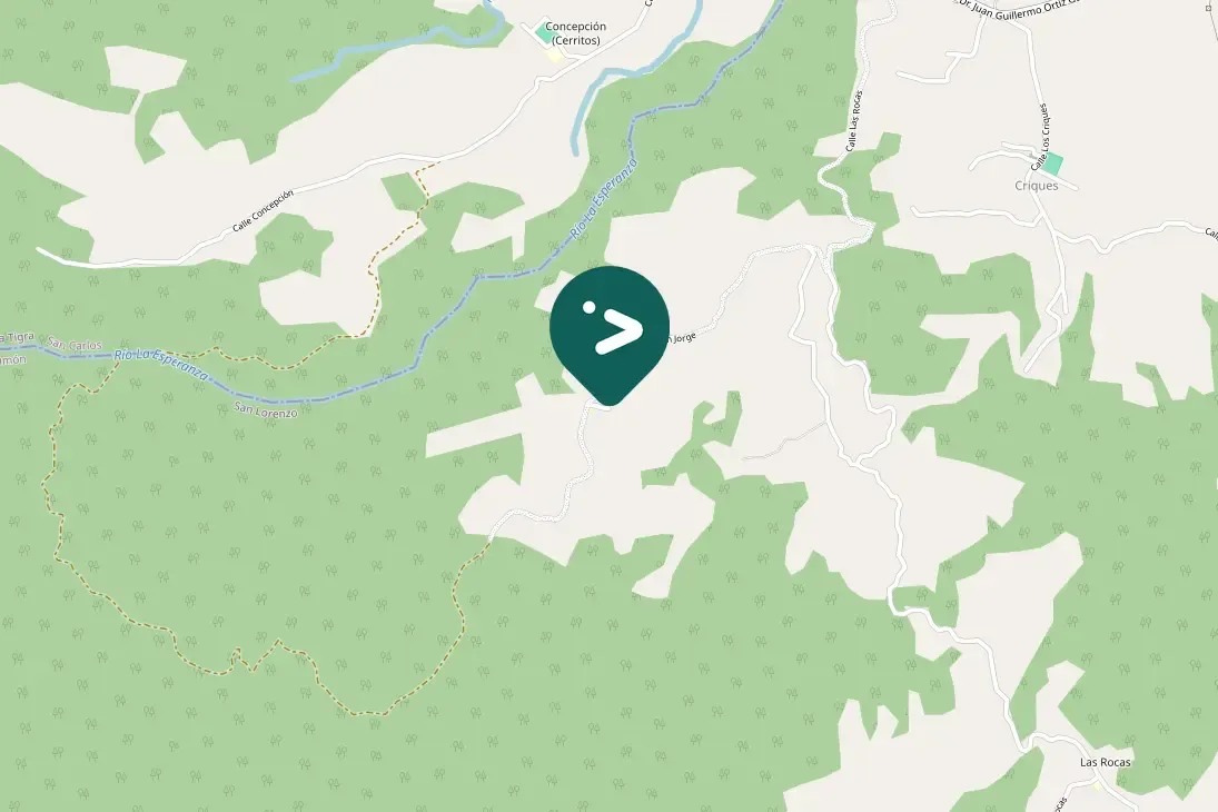 Spotted Great Kiskadee