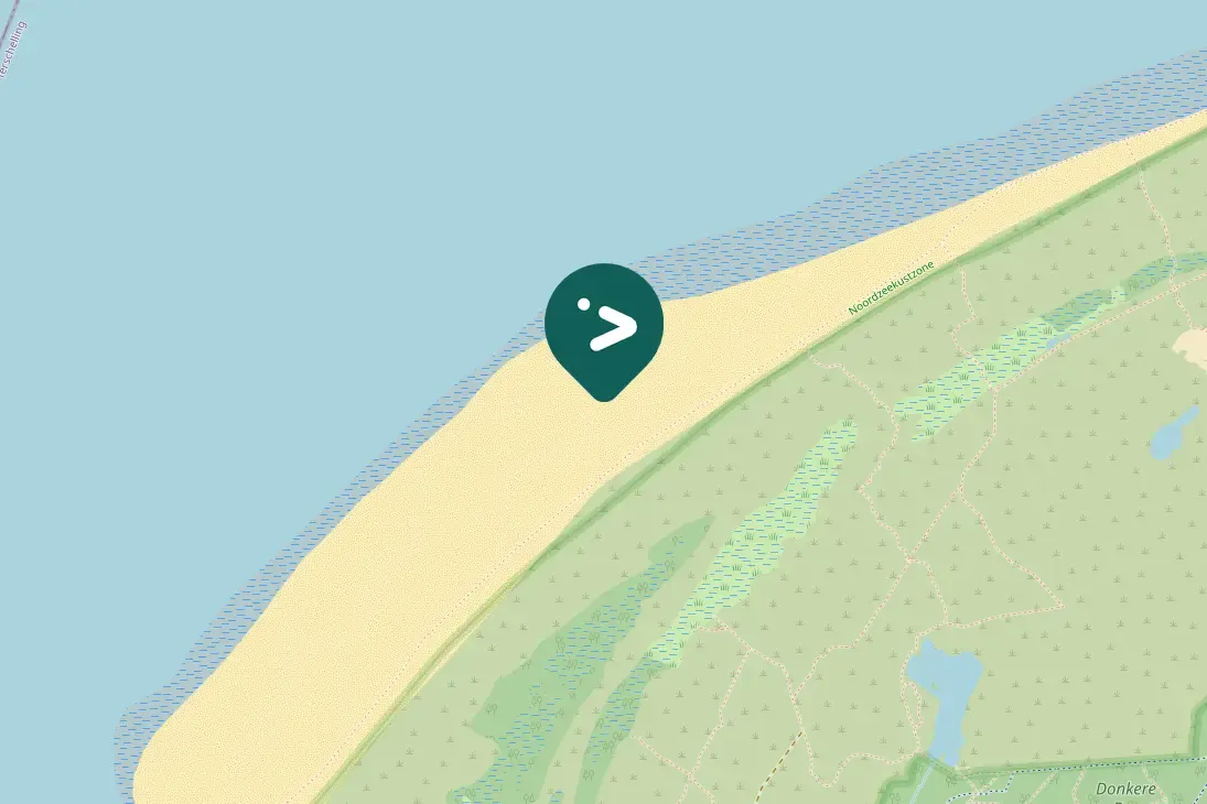 Spotted Sabine's Gull