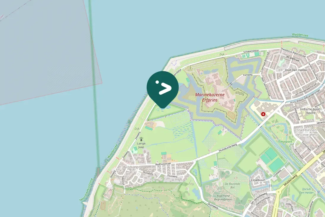 Spotted Northern Shoveler