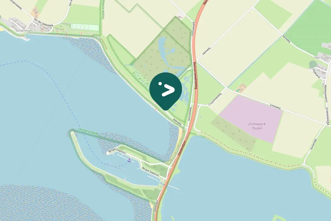 Spotted Barnacle Goose