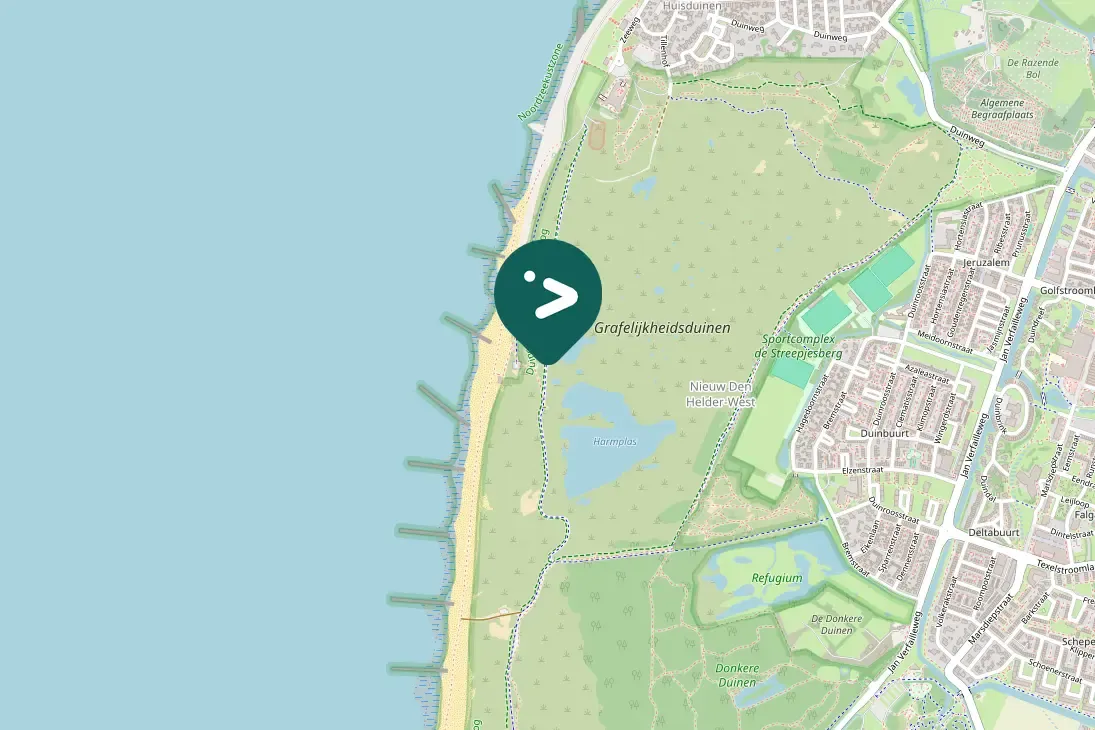 Spotted Eurasian Coot