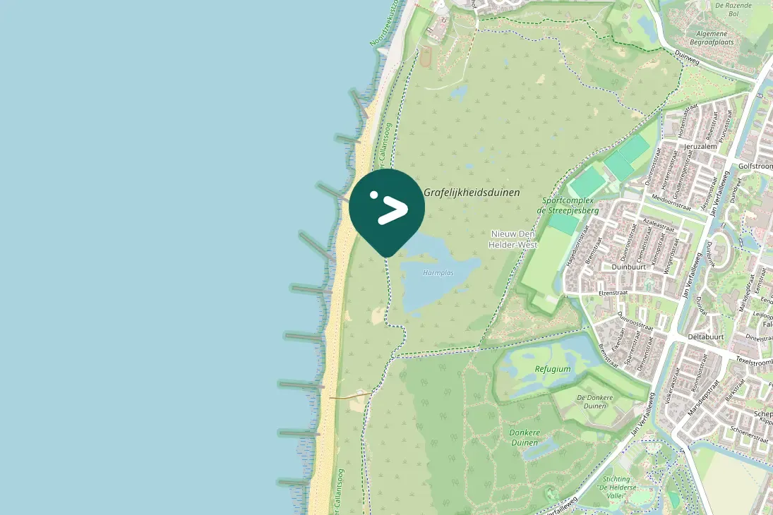 Spotted Great Black-backed Gull