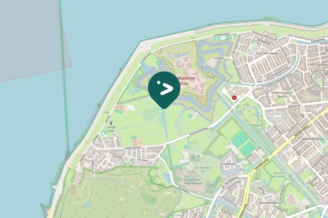 Spotted Black-headed Gull