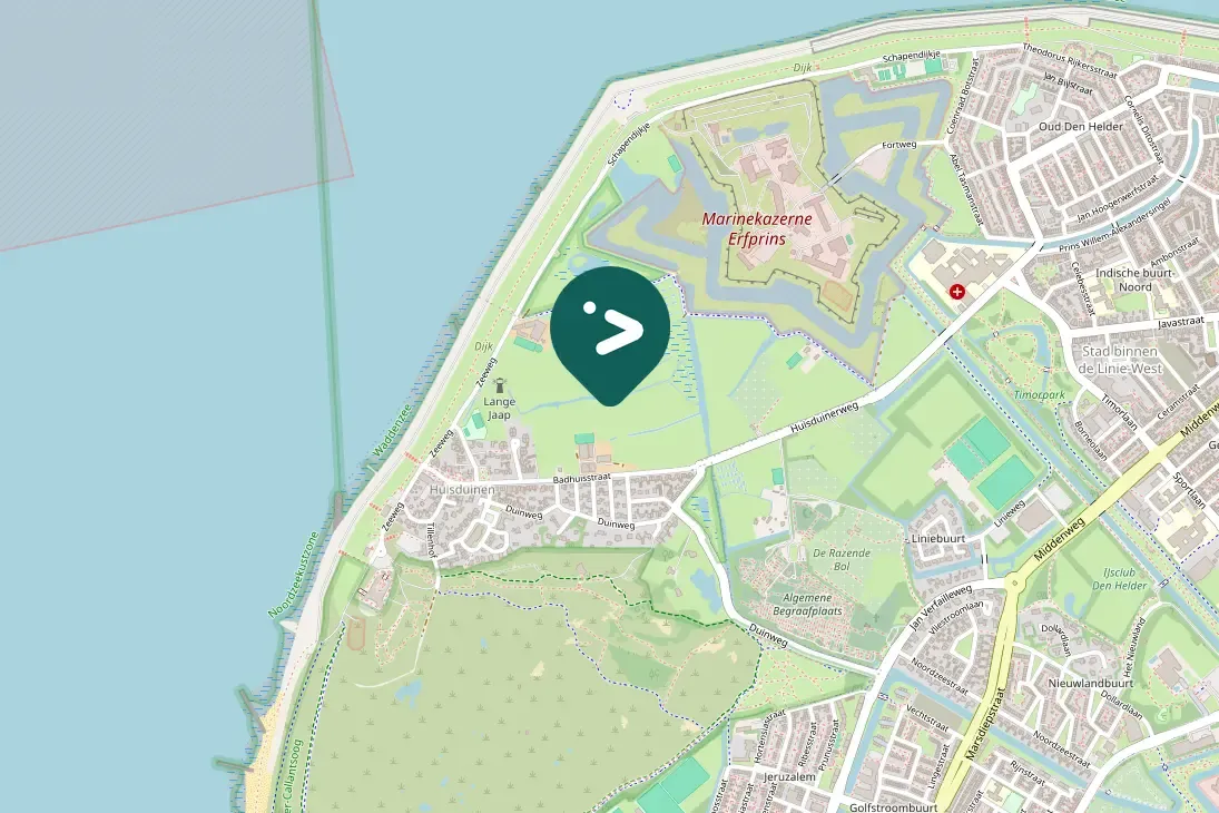 Spotted Common Chiffchaff