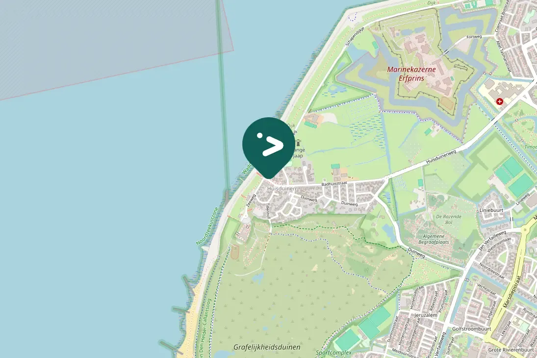 Spotted Lesser Black-backed Gull