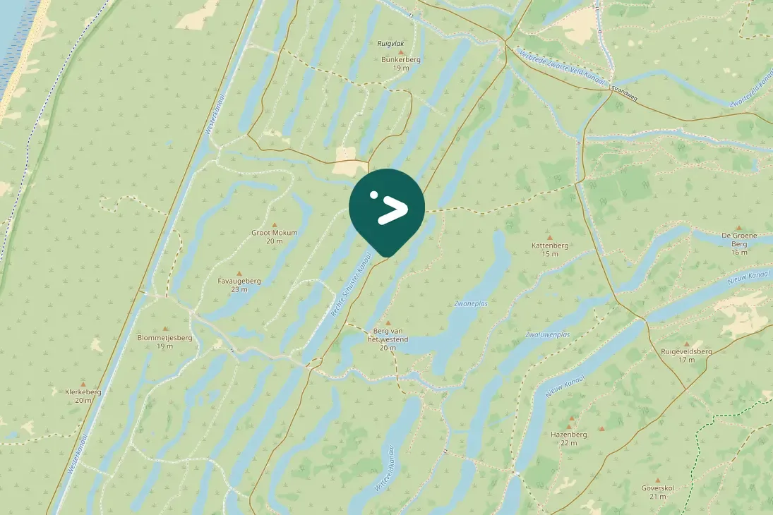 Spotted Little Egret