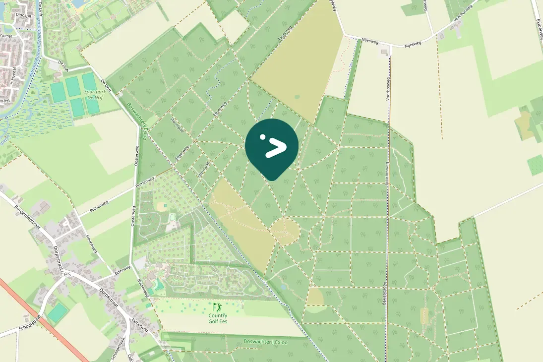 Spotted Eurasian Siskin