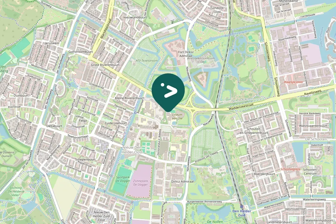 Spotted Gray Wagtail