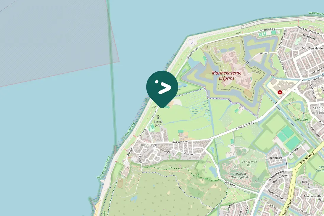 Spotted Western Marsh Harrier