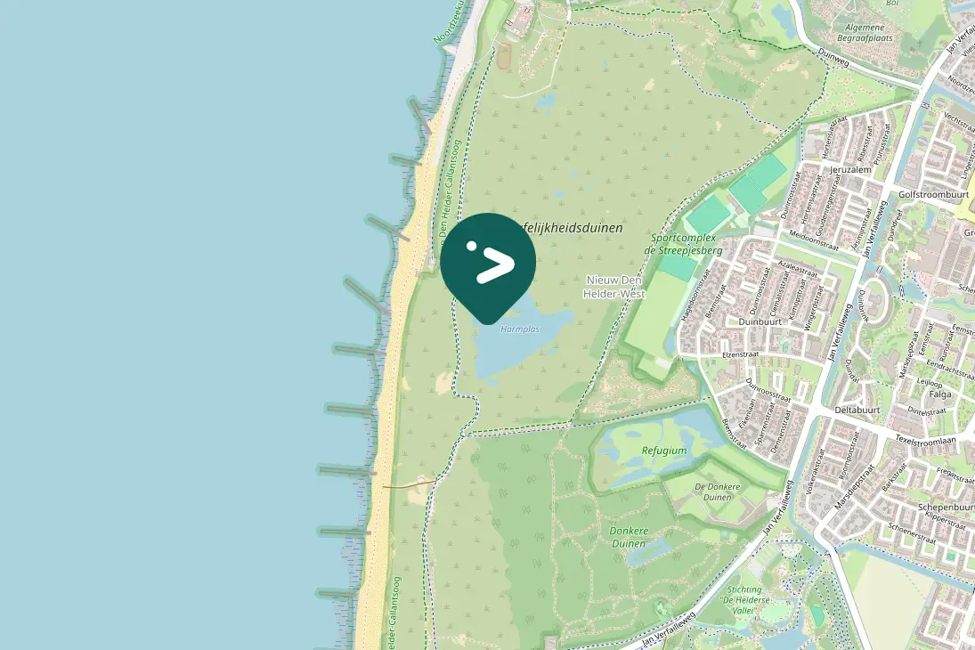 Spotted Common Pochard