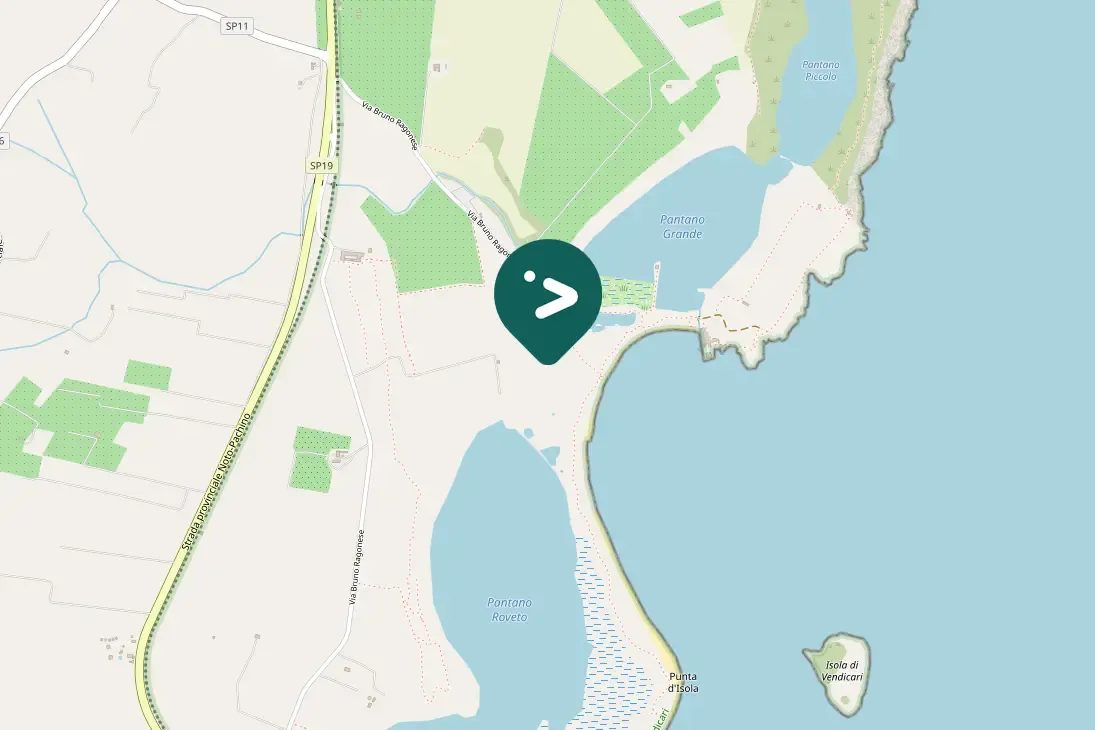 Spotted Sardinian Warbler